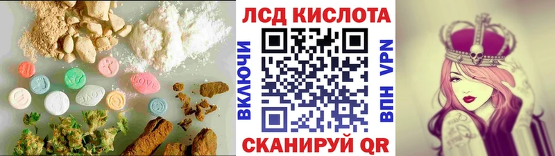 закладка  Шарья  Лсд 25 экстази кислота 