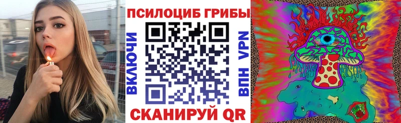 Галлюциногенные грибы мицелий  цена наркотик  Шарья 